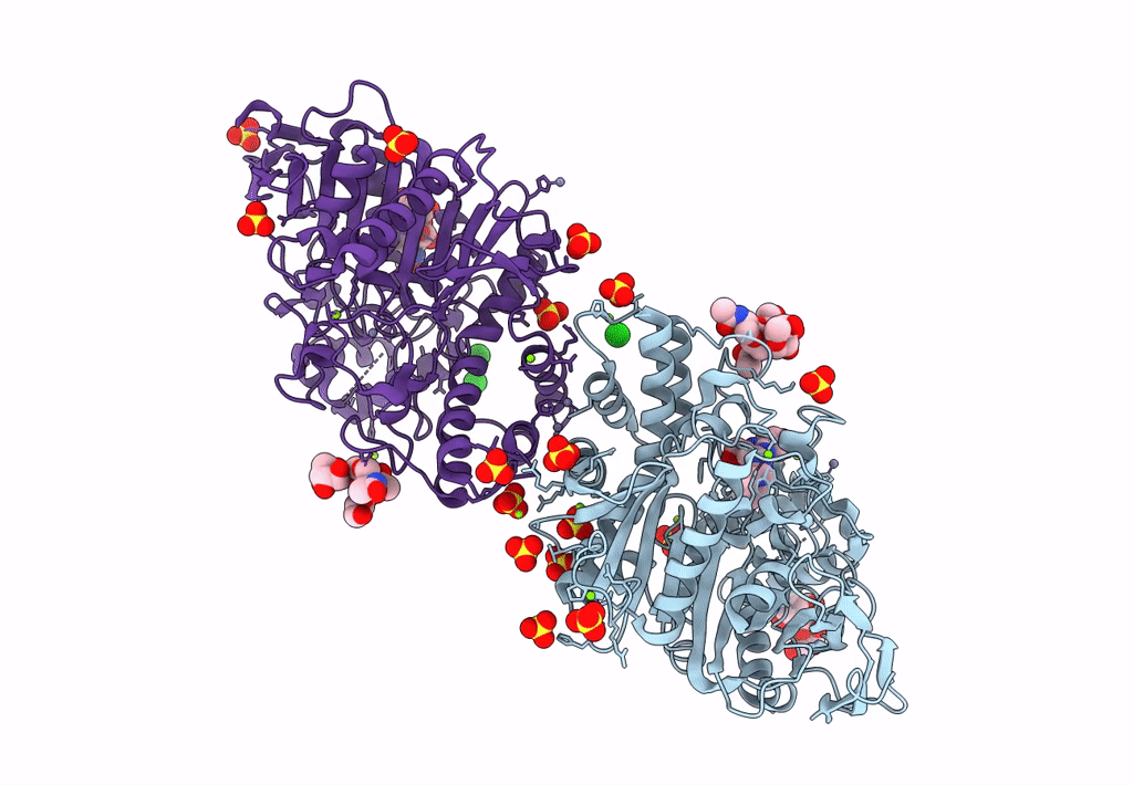 8AEV image