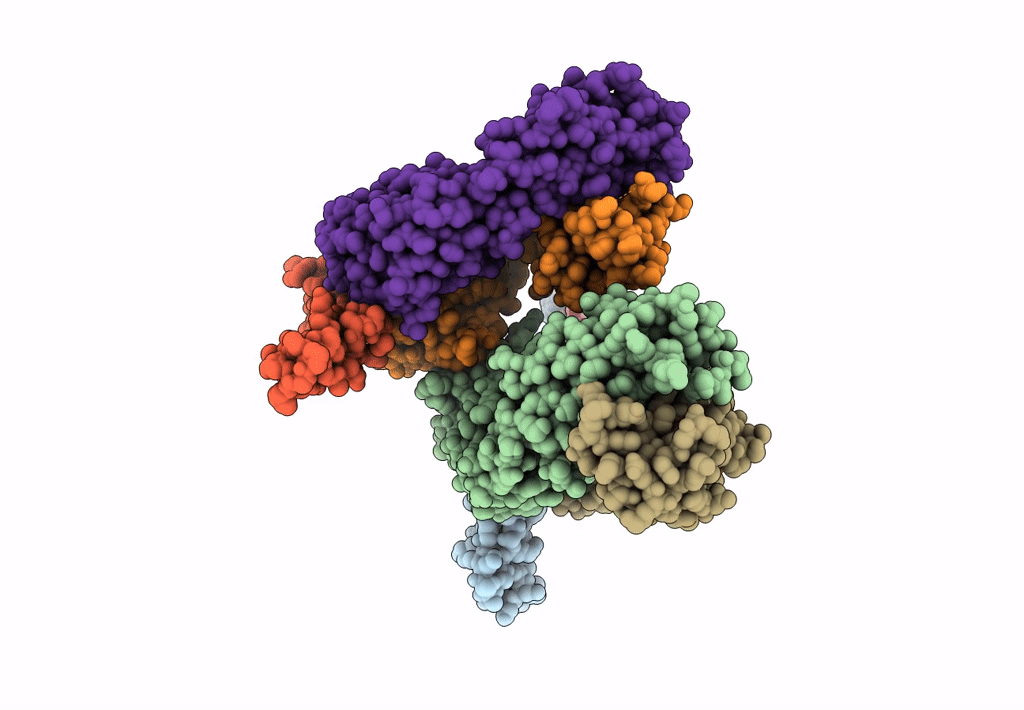 8AG1 image