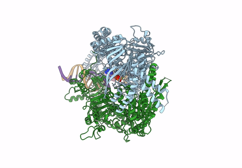 8AG6 image