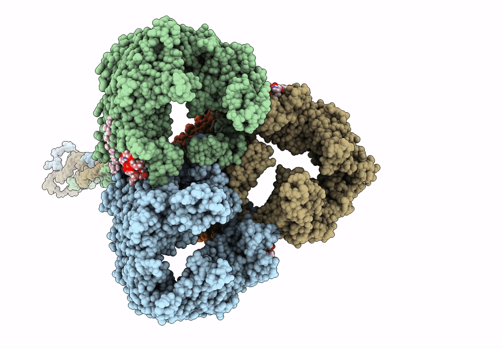 8AGD image