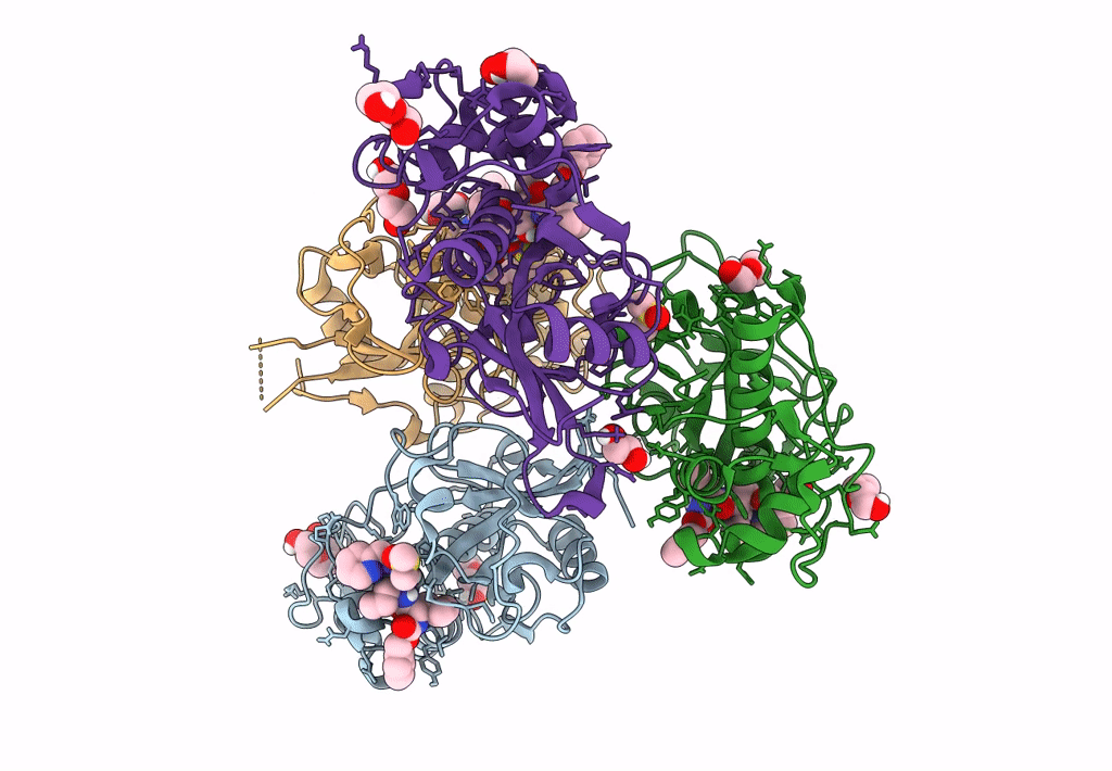 8AHV image
