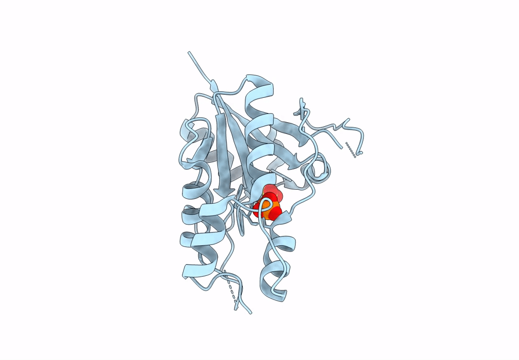 8AIH image