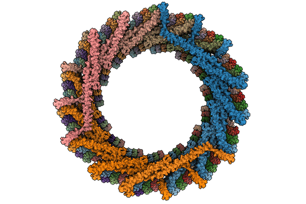 8AKW image