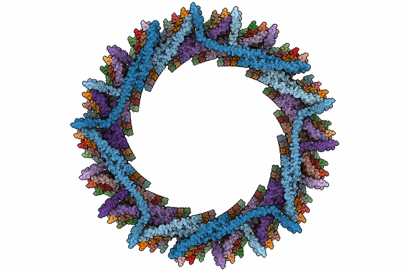 8AKZ image