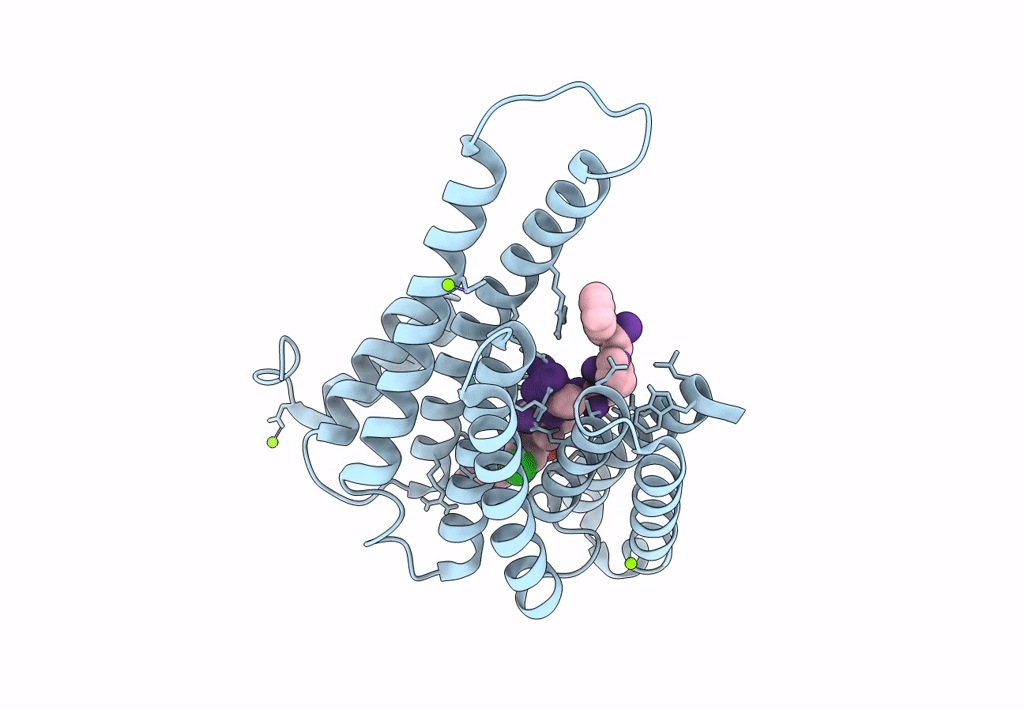 8ALV image