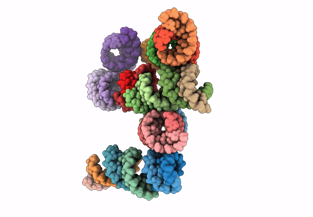 8AML image