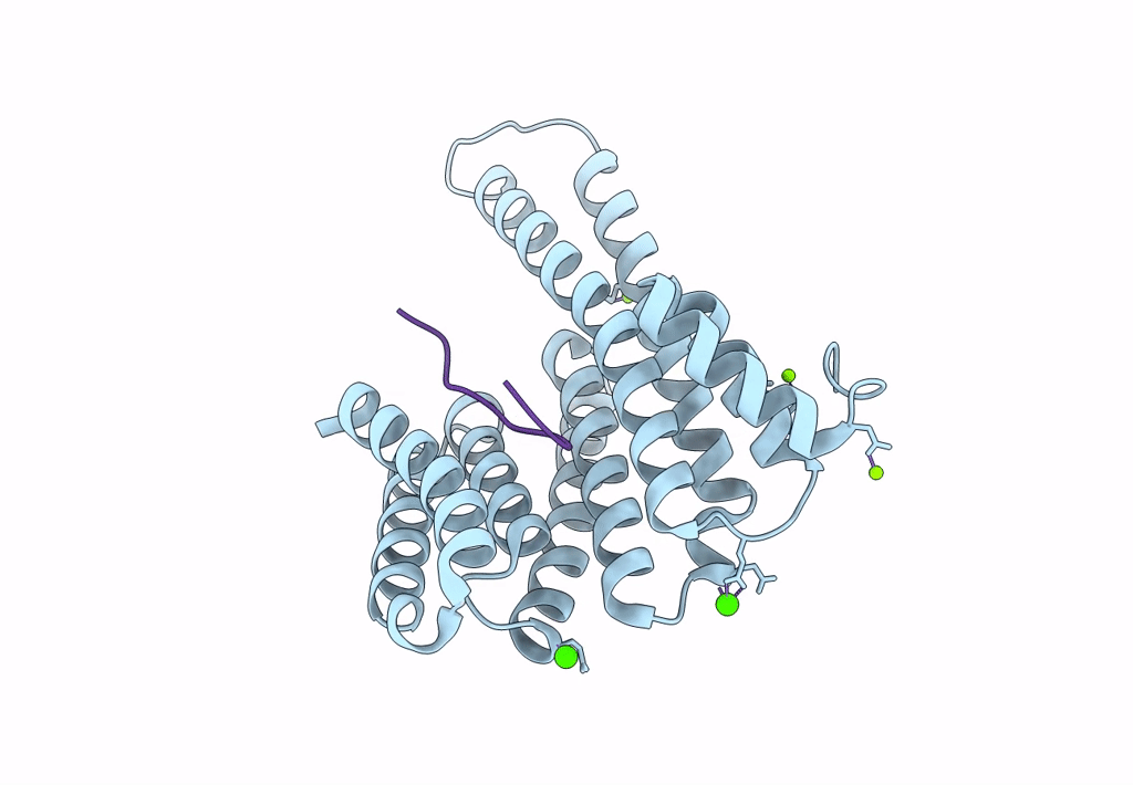 8ANC image