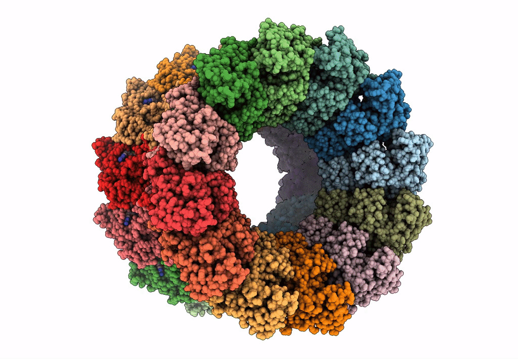 8AOX image