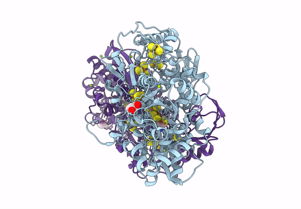 8AP2 image