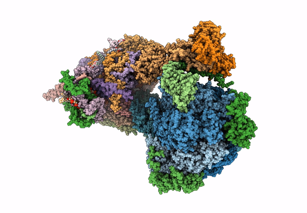 8APG image