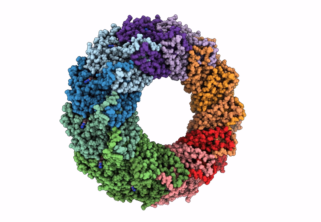 8APX image