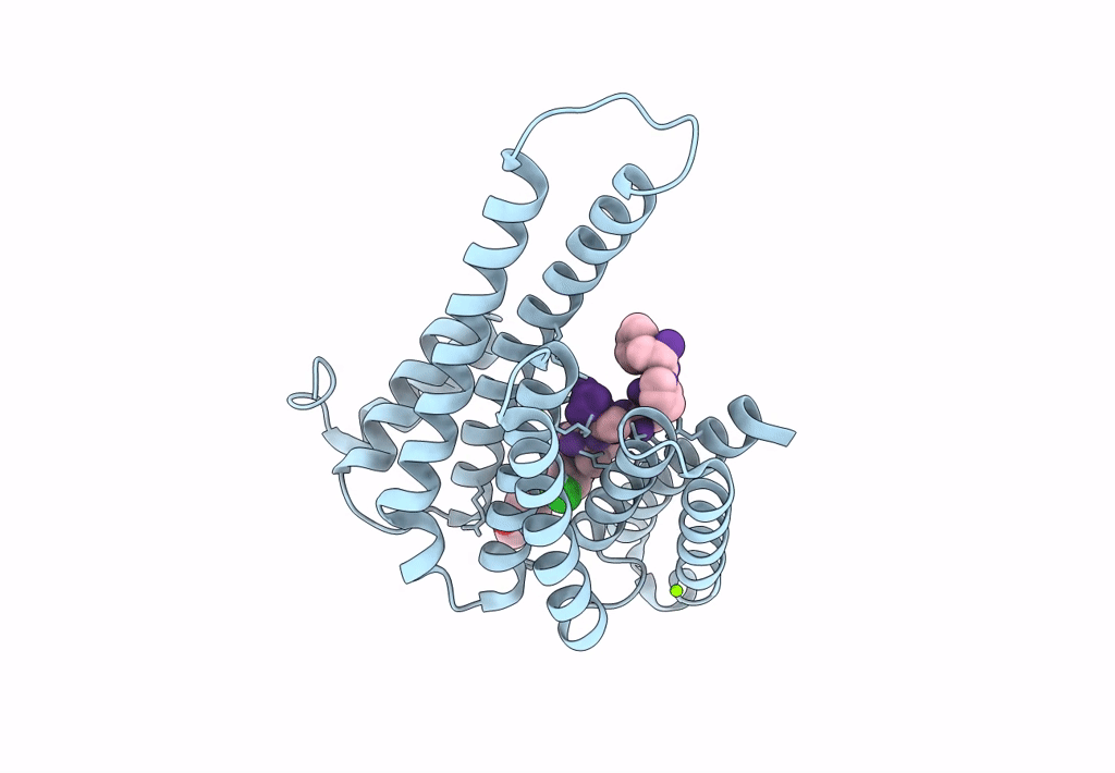8AQC image