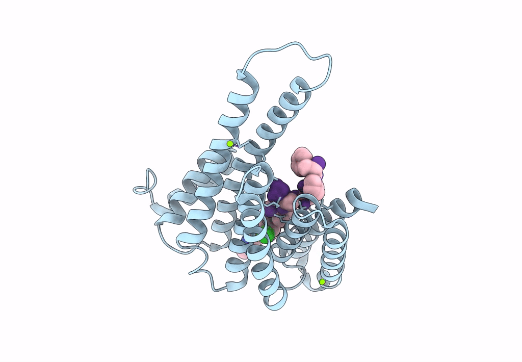 8AQE image