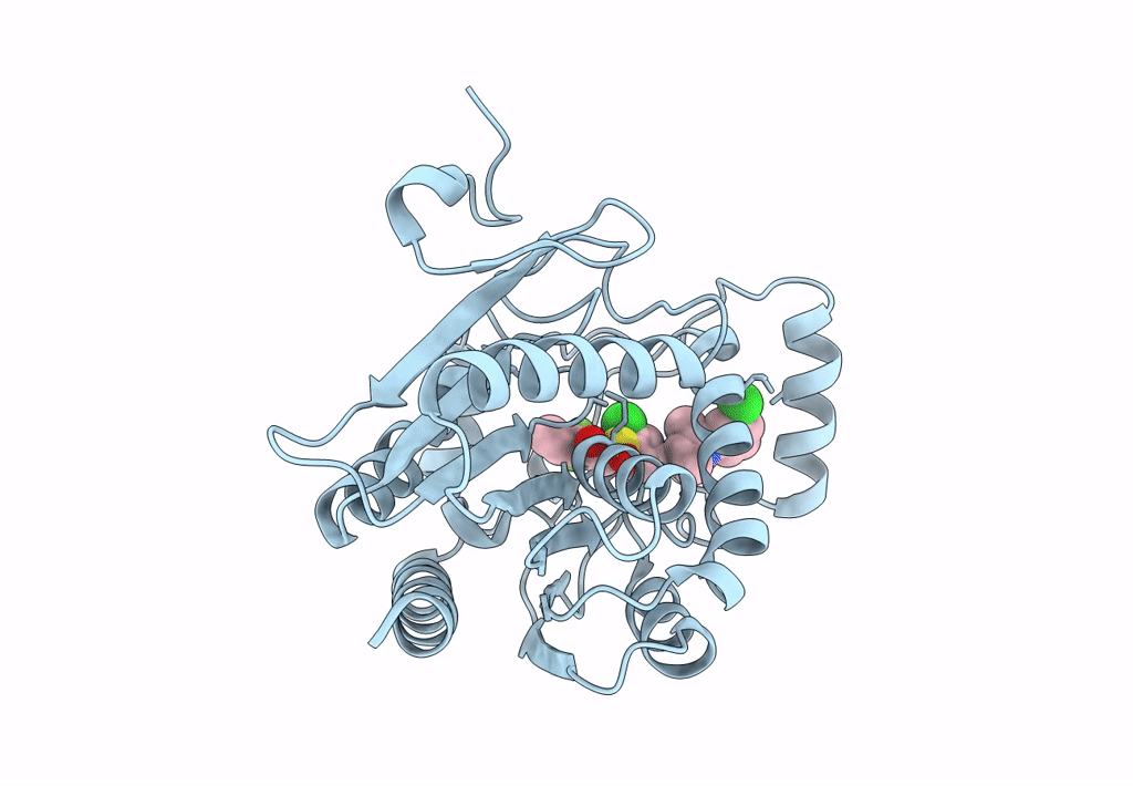 8AQF image