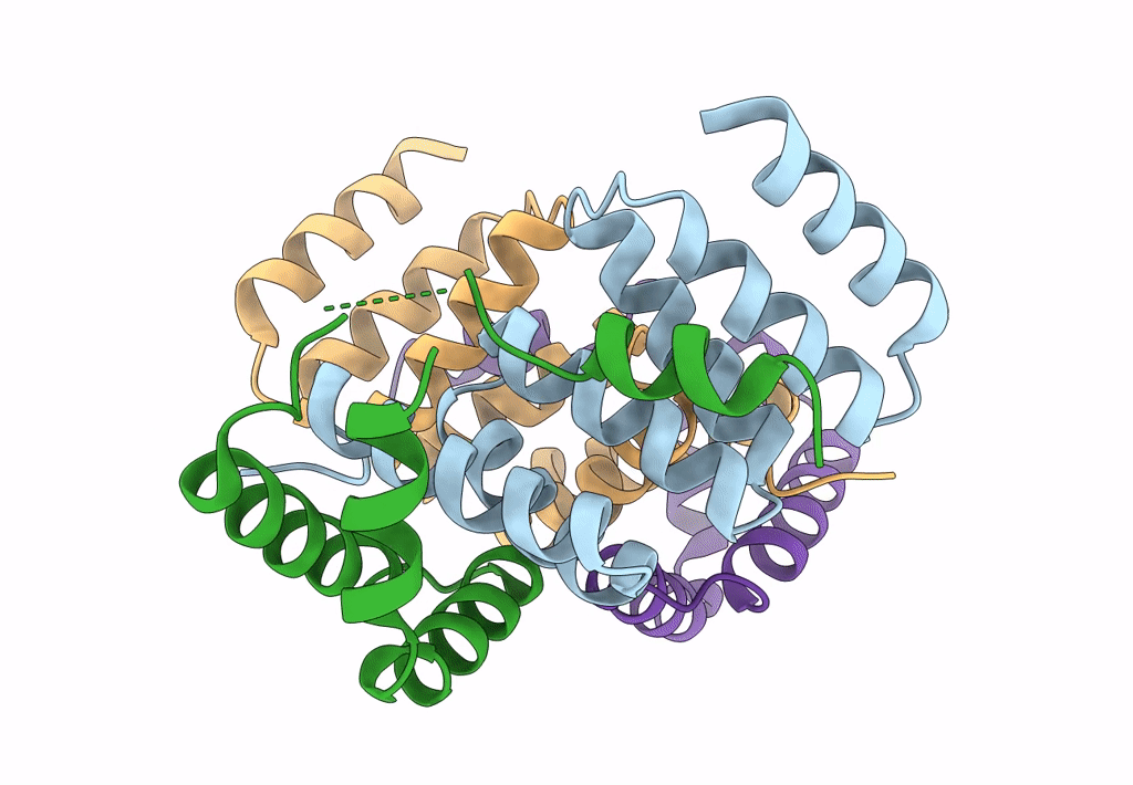 8ARC image