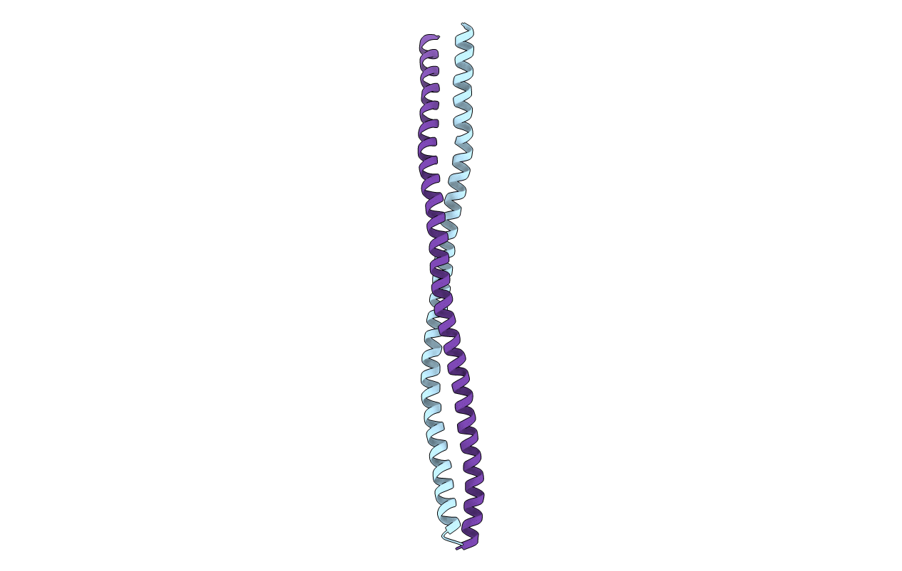8ARF image