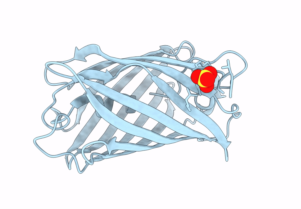 8ARM image