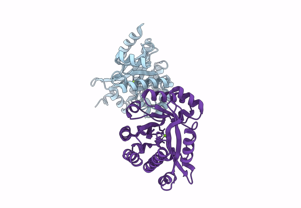 8ARV image