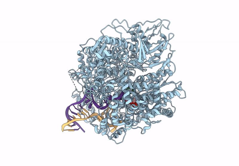 8ASB image