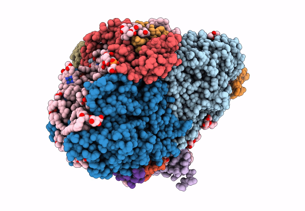 8ASP image