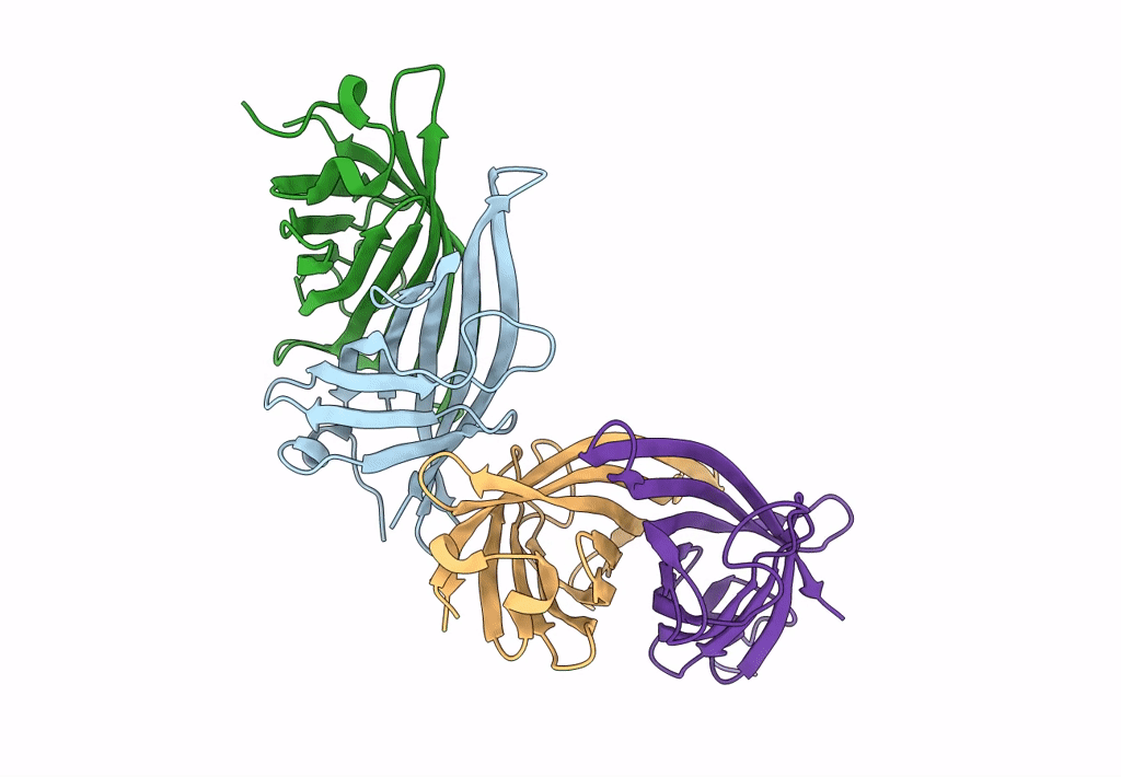 8ASR image