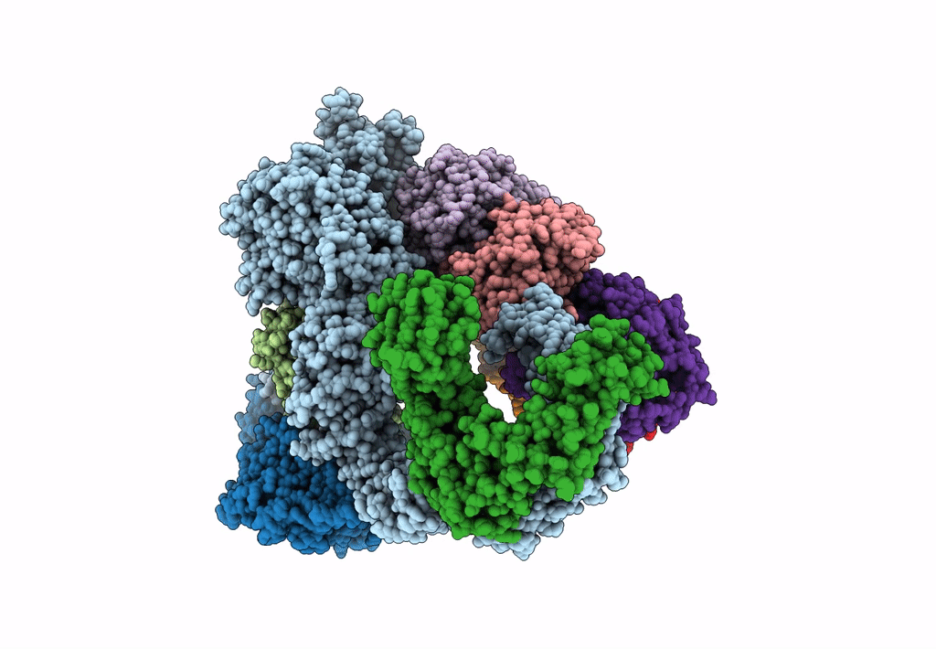 8ASV image