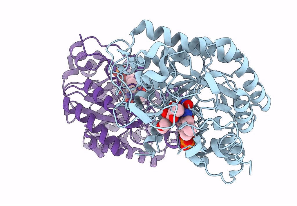 8AUO image