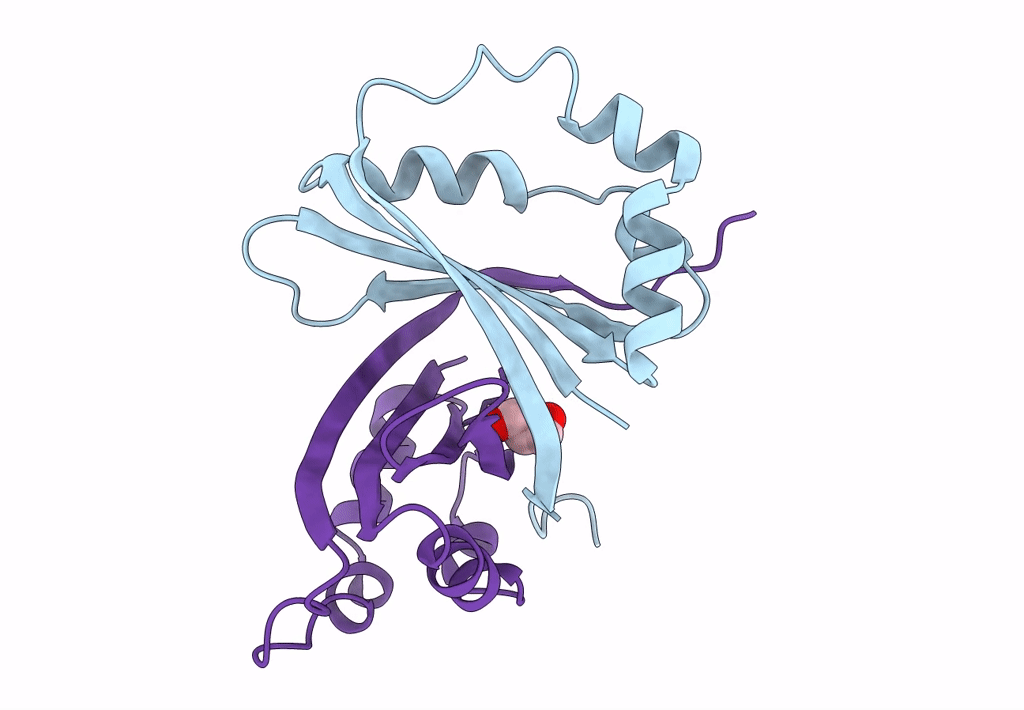 8AVH image