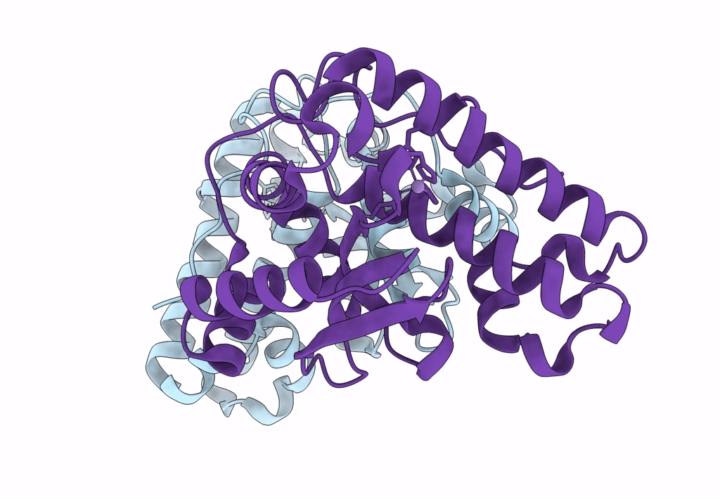 8AVN image