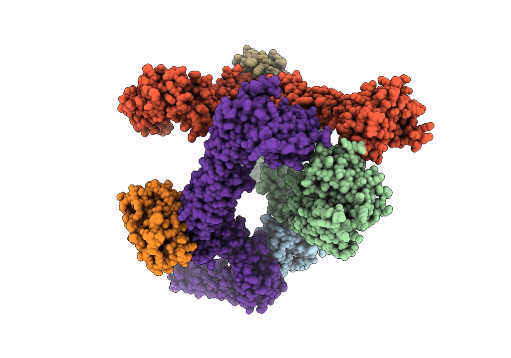 8AVO image