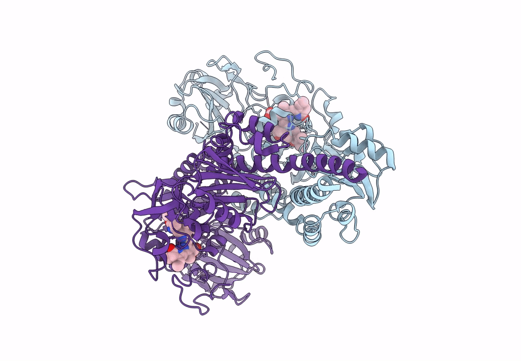 8AVV image