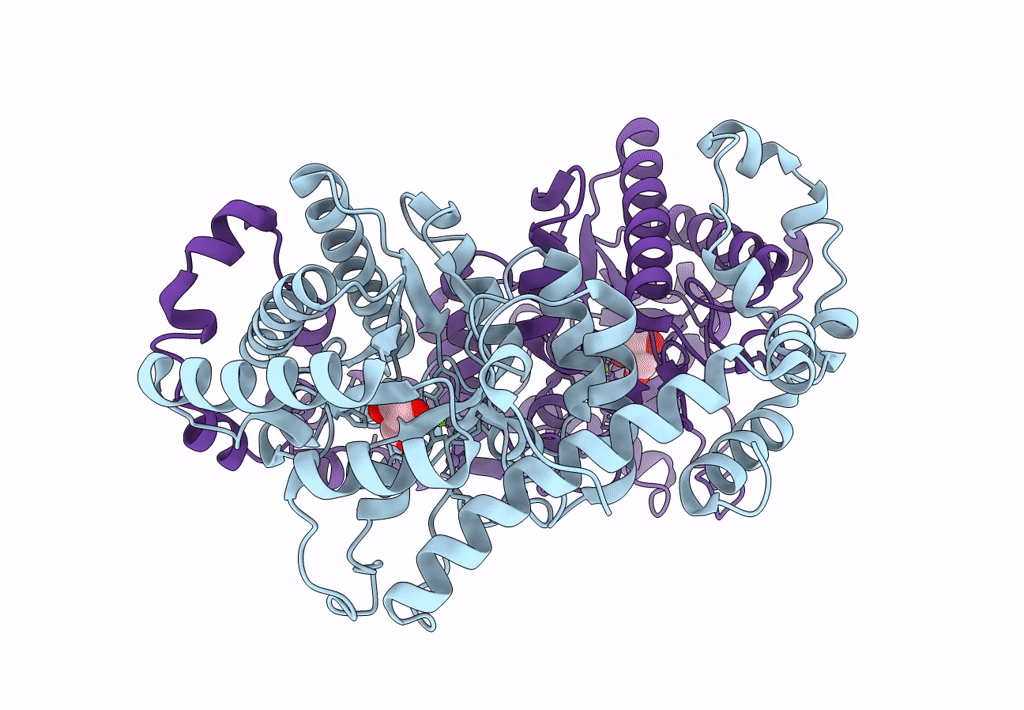 8AW9 image