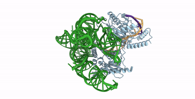8AXA image