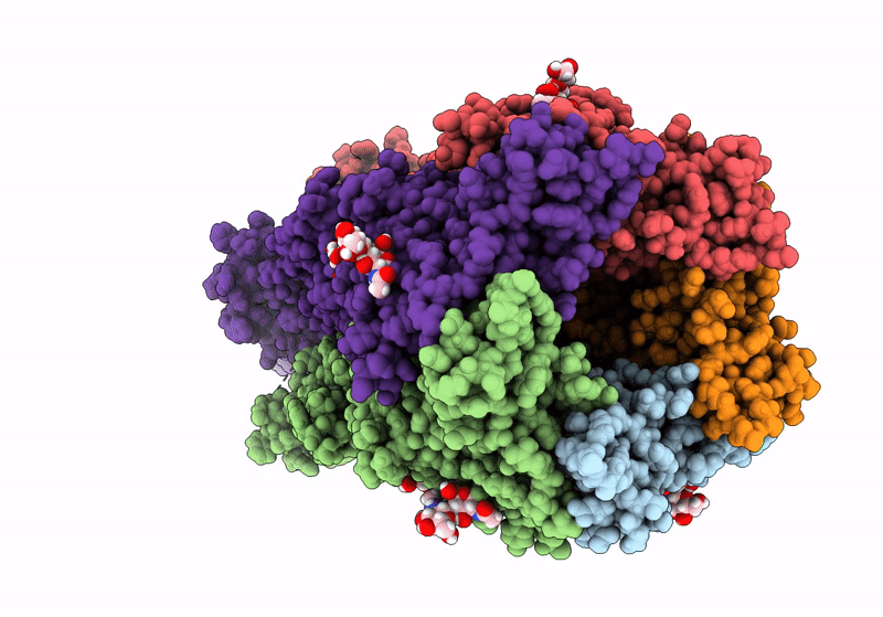 8AXD image