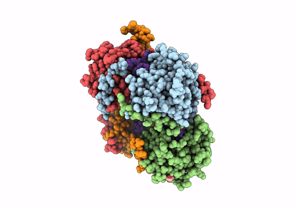 8AXF image
