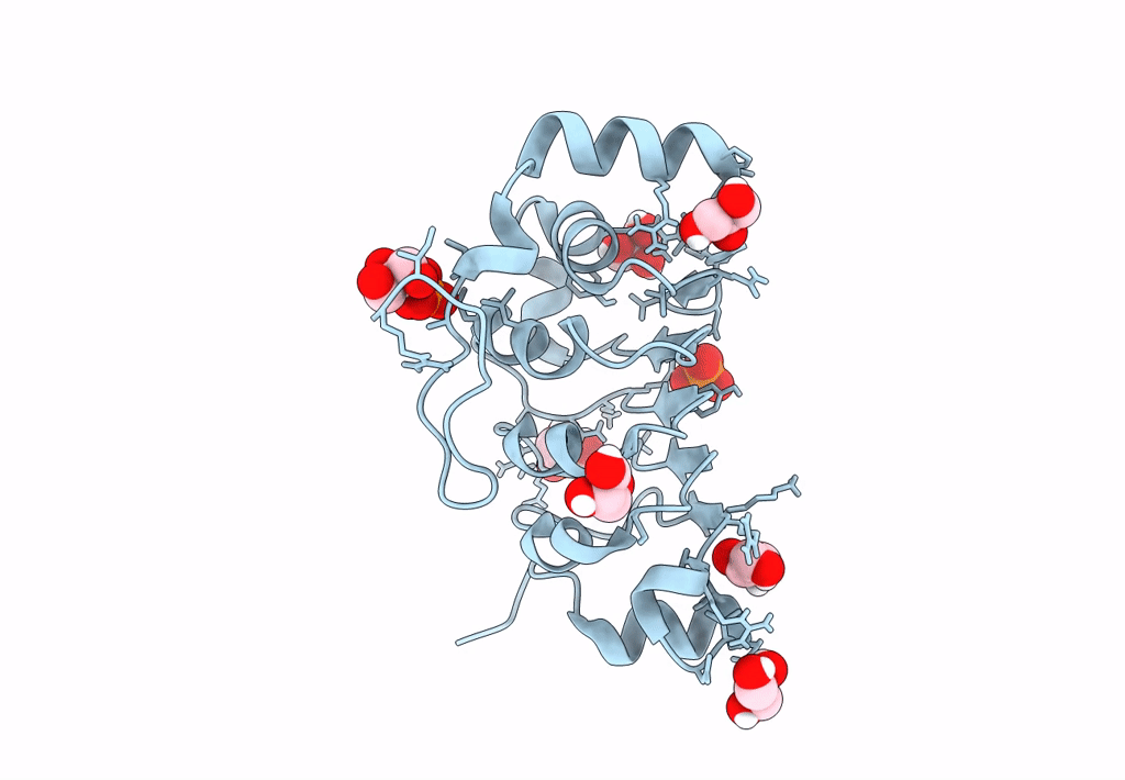 8AXJ image