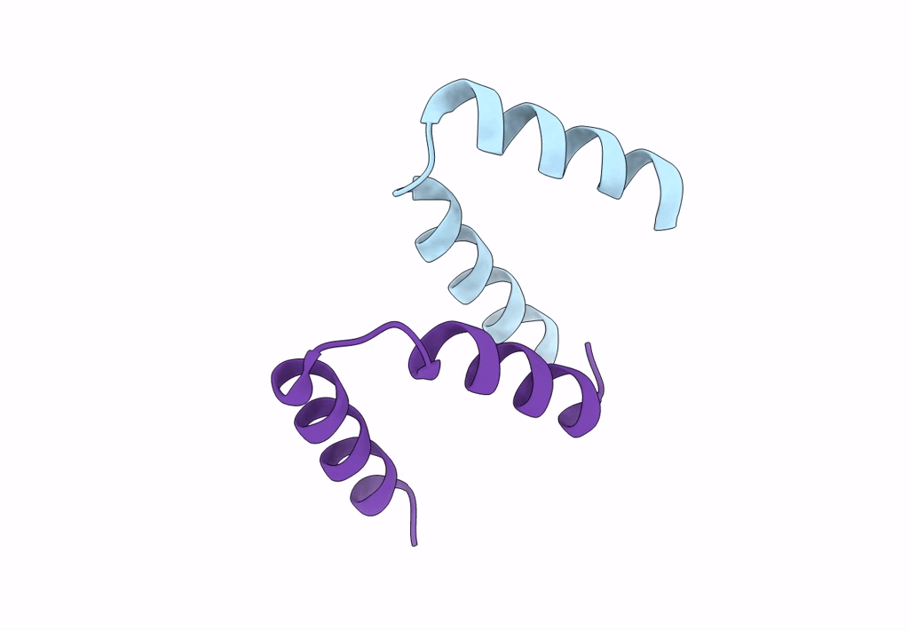 8AXO image