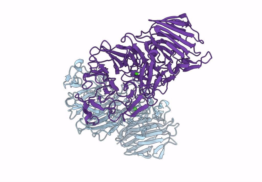 8AXT image