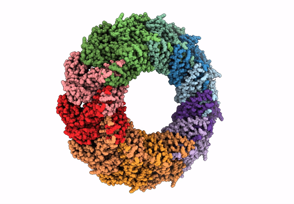 8AXV image