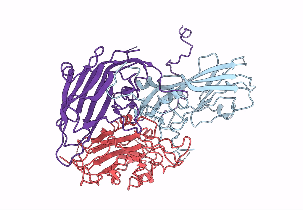 8AXX image