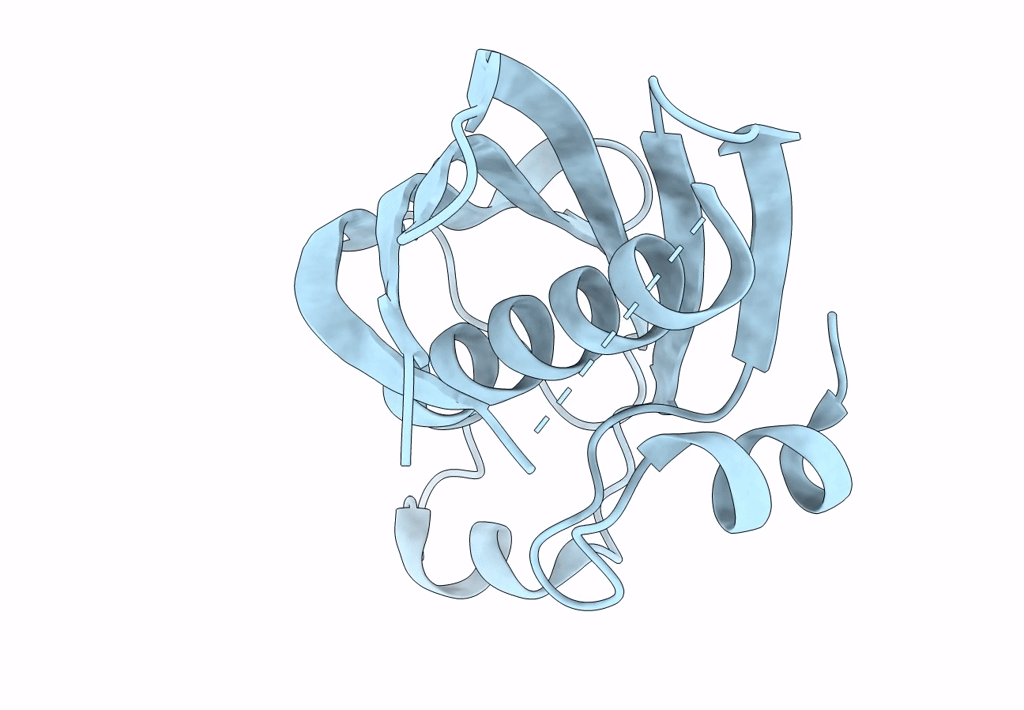 8AYC image
