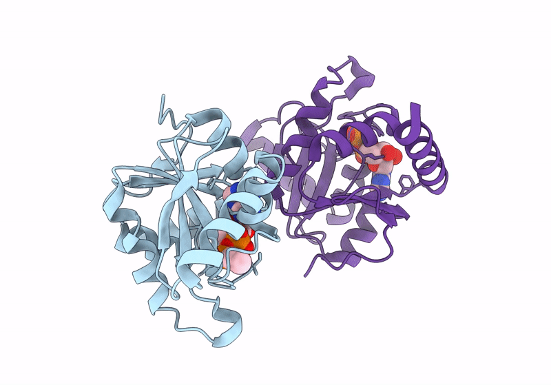 8AZO image