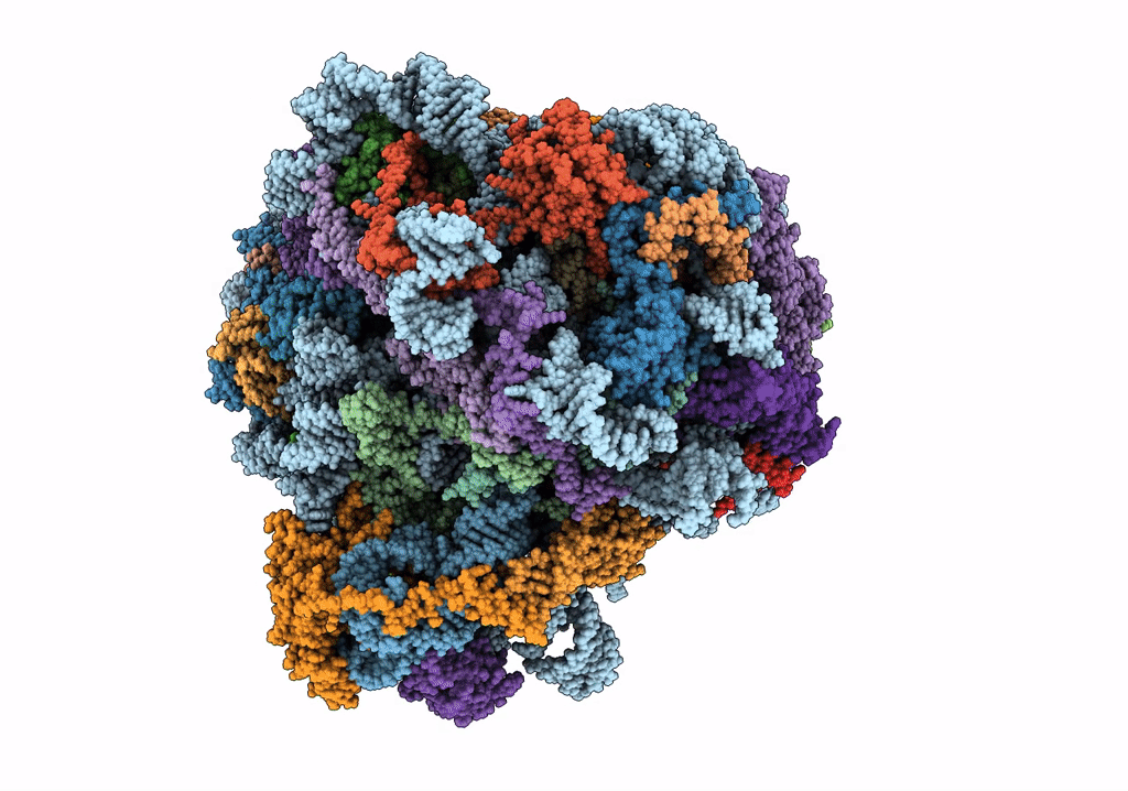 8AZW image