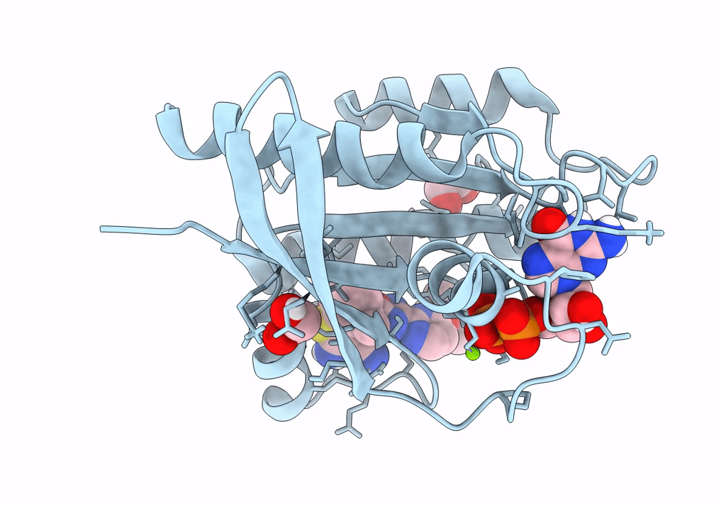 8AZX image
