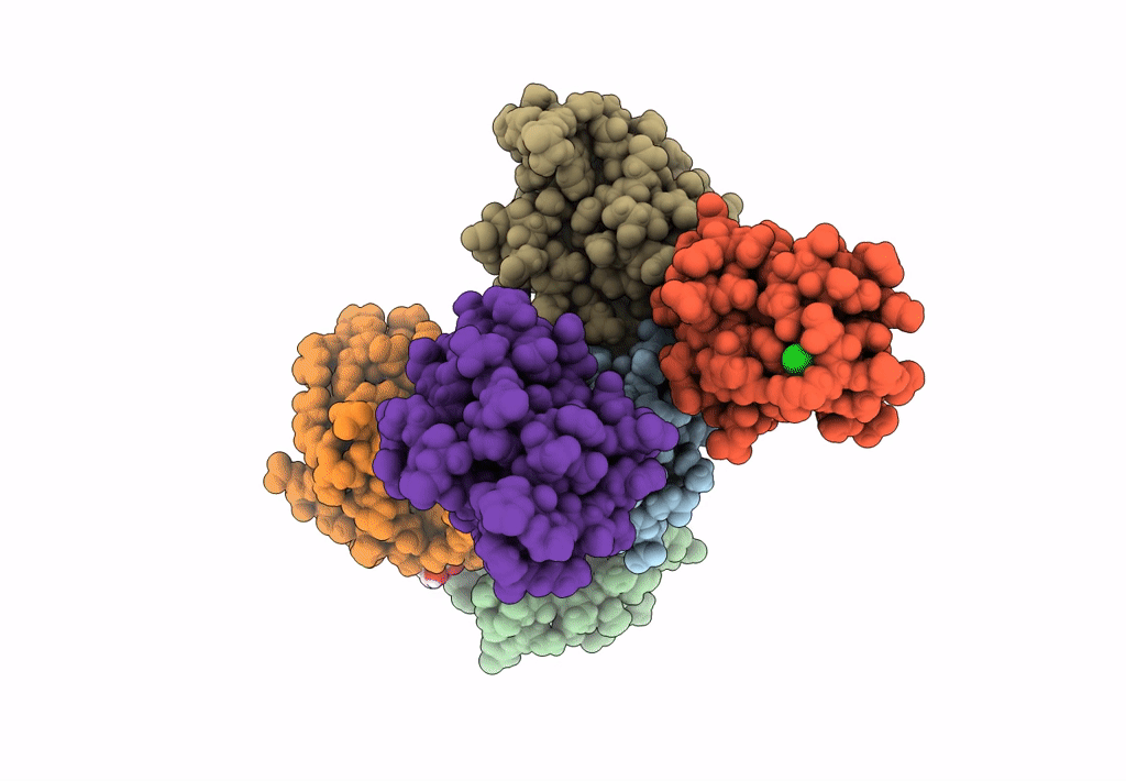 8B10 image