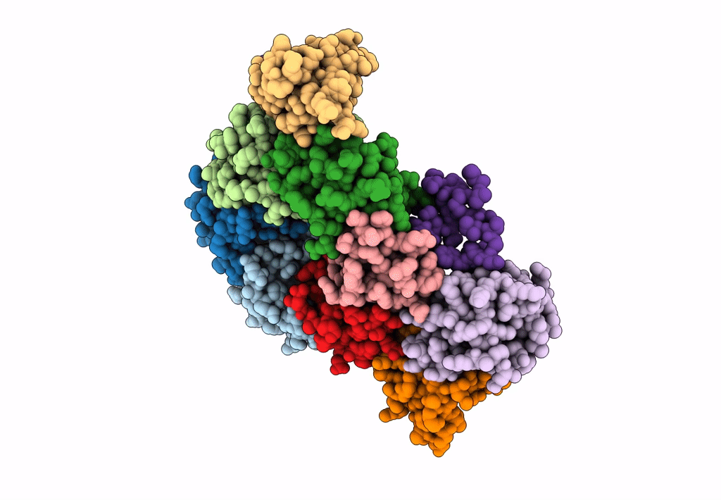8B12 image