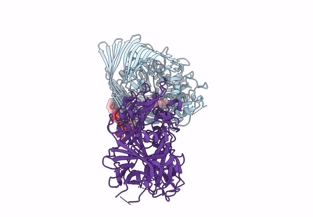 8B14 image