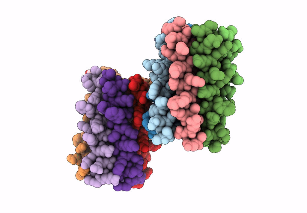 8B16 image