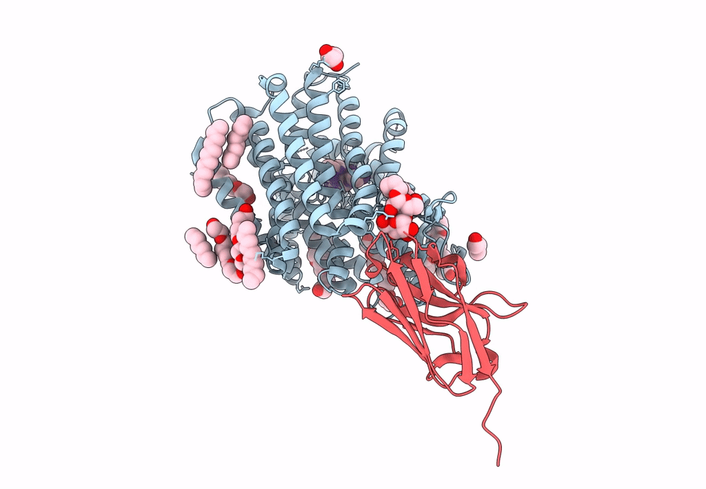 8B17 image