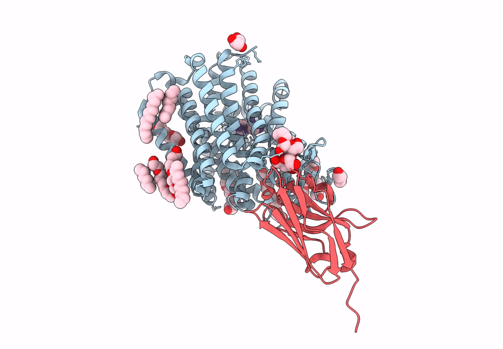 8B1E image